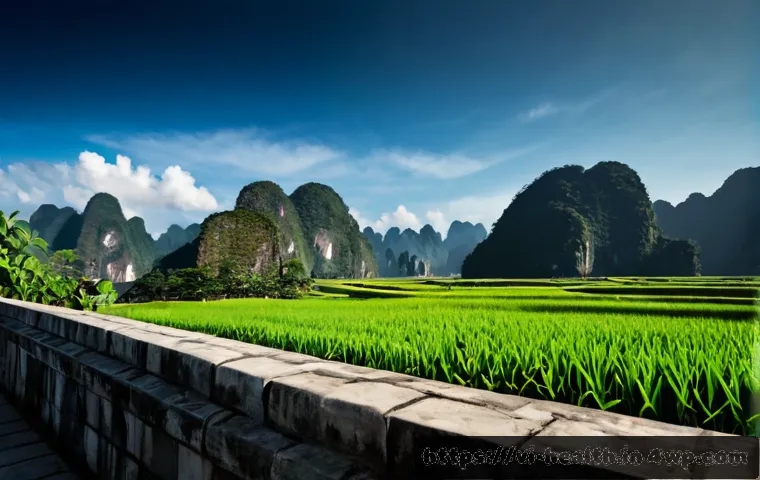 Cách quản lý hồ sơ y tế lấy người bệnh làm trung tâm: quy trình, bảo mật và tiêu chí chọn công cụ 4 환자 중심의 의료기록 관리 방법 관련 이미지 2
